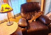 10_LivingRoomReclinerLampAndFishPillow