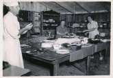 CookhouseMarvEdna1950s