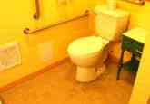 10_bathroomLowerToiletHandicap2022