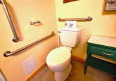 10_handicapBathroomToiletGrips