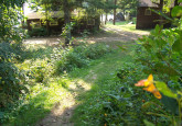 Wildflower Cabin #10 path to lake at Crow Wing Crest Lodge in Akeley, MN