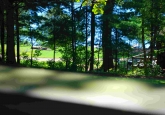 13_deckViewToGrassyMeadowLakeside