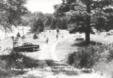 Historic CWC Luna tree circa 1958
