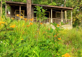 Cabin-18-exterior-day-liliies-2021