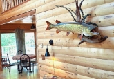 19_livingRoomFishTowardsEntranceWEB