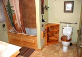 9_jacuzziTubShowerToiletPIX