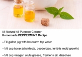 NaturalRECIPhomemadePeppermint