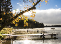 00099