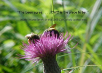 BeesOnAThislteEllen Winner2001