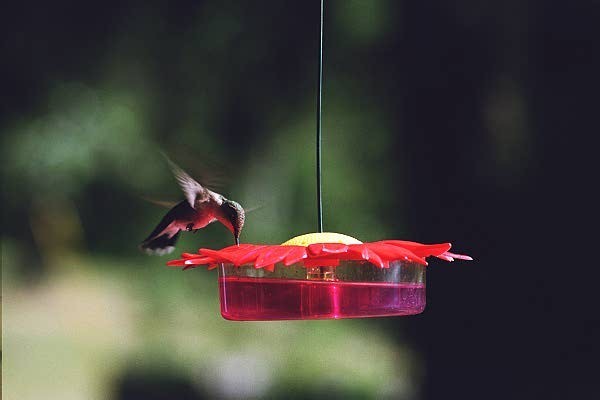 This resort is a fun, safe place for kids to play. Drum circle way too cool!
