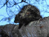 Early Bird Summer Short-Stay Specials: 2 for 2 Deal