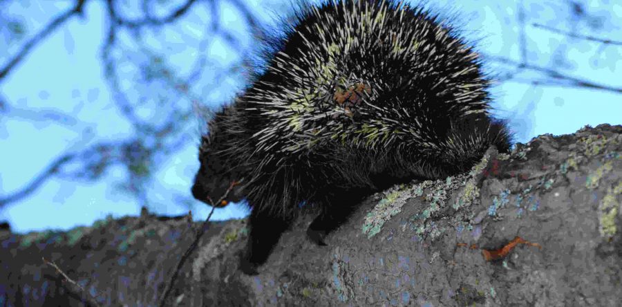 Early Bird Summer Short-Stay Specials: 2 for 2 Deal