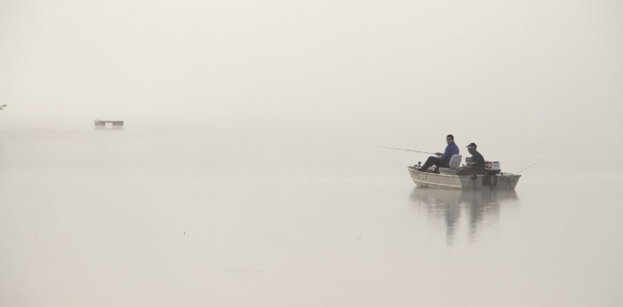 10% off Week – June 13-19, 2026