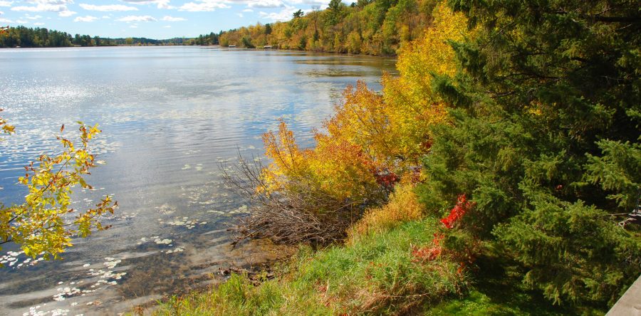 Autumn at CWC – specials, peace and quiet