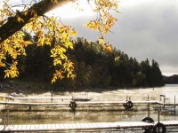 Off-Season Weekly Savings