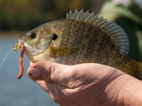 Big John Bowen likes to catch fish.
