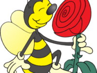 Aromatherapy & “Pendulled Potions by Kim”