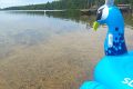 Wow, 11th Crow Wing Lake #5 on list of MN’s cleanest lakes