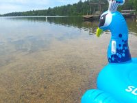 Wow, 11th Crow Wing Lake #5 on list of MN’s cleanest lakes