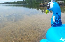 Wow, 11th Crow Wing Lake #5 on list of MN’s cleanest lakes