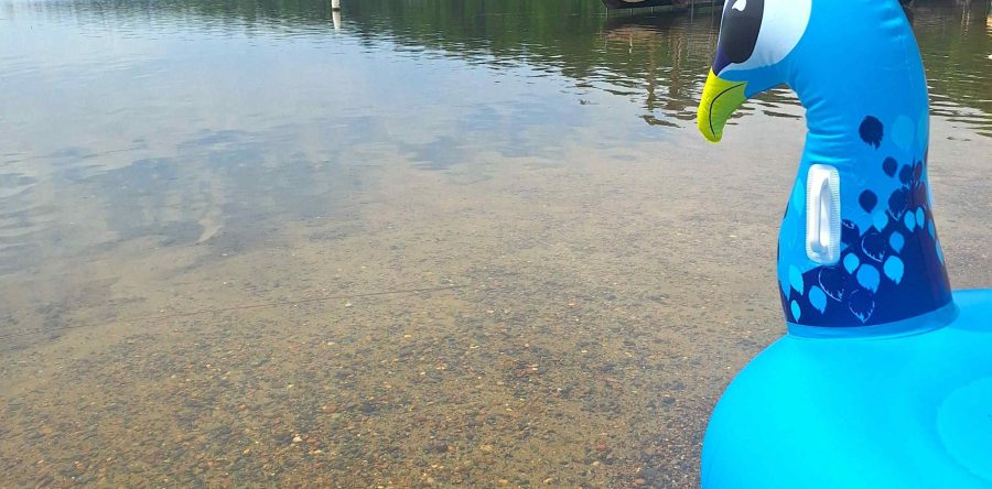 Wow, 11th Crow Wing Lake #5 on list of MN’s cleanest lakes