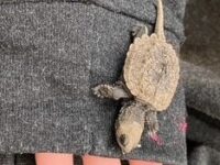 Simple stay, value in community and joys in nature