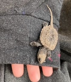 Simple stay, value in community and joys in nature