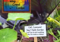 Herbs and veggies to pick by guests near gazebo at Crow Wing Crest Lodge in Akeley, MN